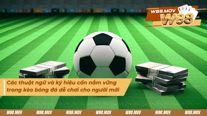 Các thuật ngữ, ký hiệu cần nắm vững trong kèo bóng đá