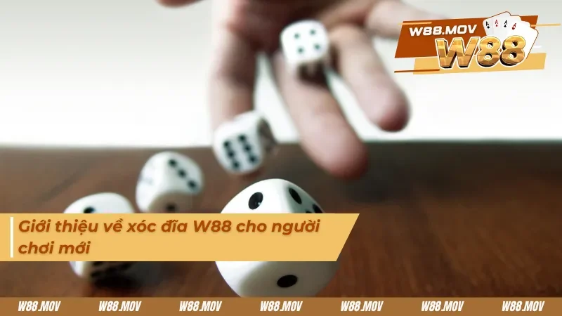 Giới thiệu xóc đĩa cho người chơi mới