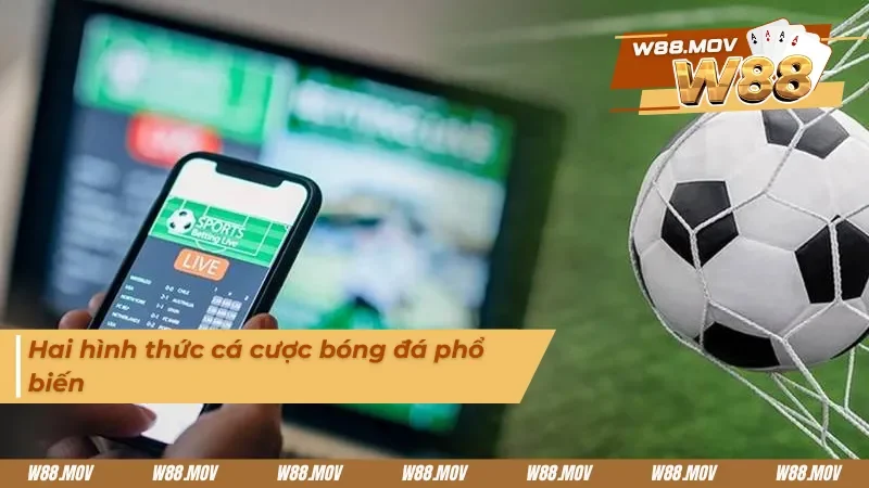 Hai hình thức cá cược được yêu thích nhất