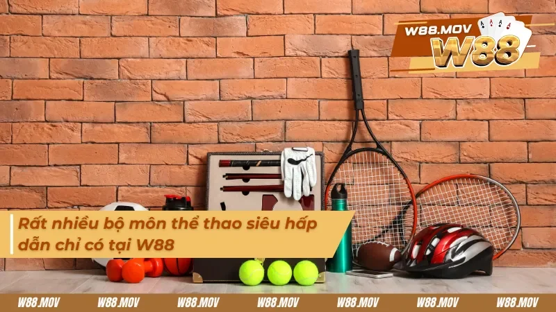 Tất cả các bộ môn thể thao đang hot trên thị trường đều tập trung 