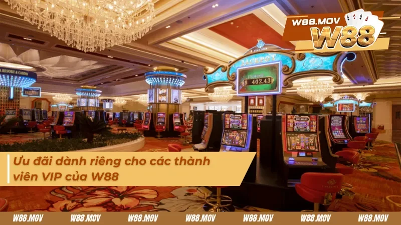 Ưu đãi độc quyền theo từng cấp bậc VIP trong Casino W88